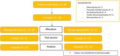 Comparison of Shoulder Kinematics and Muscle Activation of Female Elite Handball Players With and Without Pain—An Explorative Cross-Sectional Study